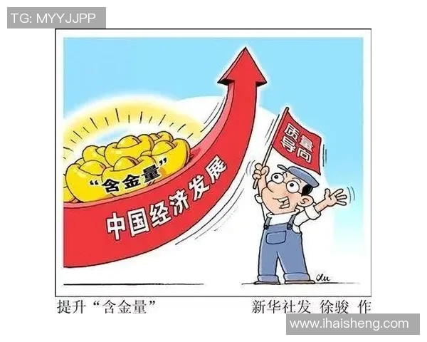 税务改革新政策解析与实施路径探讨：助力经济高质量发展与税收现代化