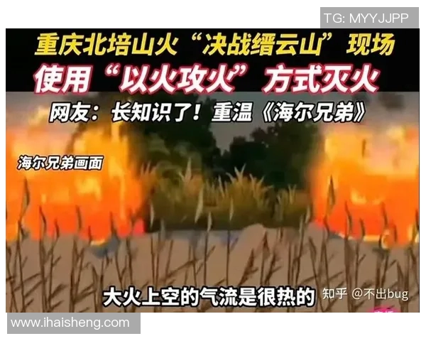 重庆飞盘队的战术解析与整体压制策略深度剖析